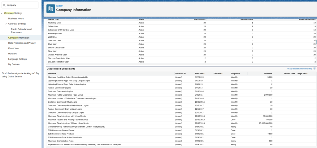 Salesforce Company Information page showing flow usage-based entitlements