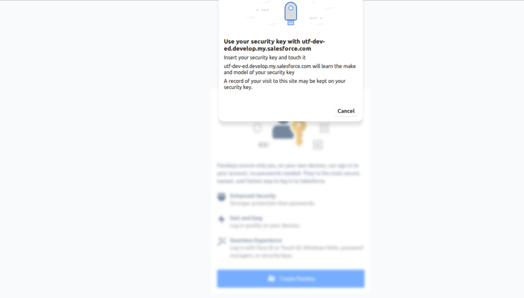 open a native security prompt