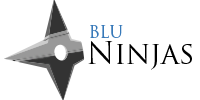 Blu Ninjas Logo