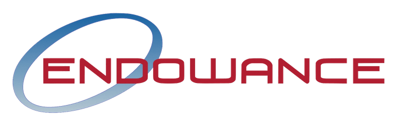 Endowance Solutions Logo