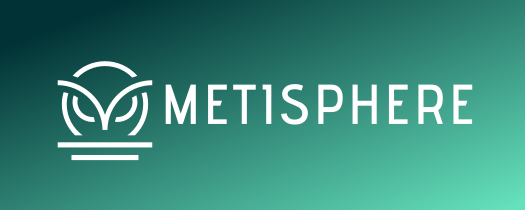 Metisphere Logo