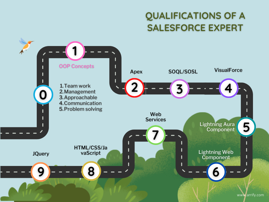 Qualifications of a Salesforce Expert