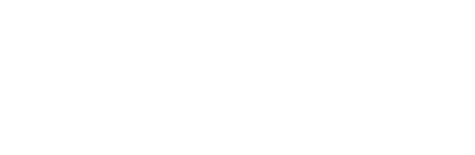 Adisols Logo