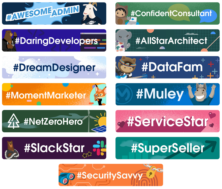Salesforce Development Services - Salesforce developer skills 