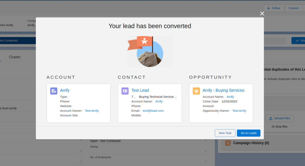 Lead conversion in Salesforce
